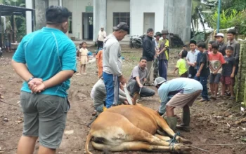 IWB Perkuat Kepedulian dan Solidaritas Idul Adha 1447 H