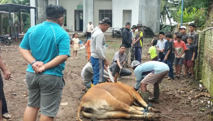 IWB Perkuat Kepedulian dan Solidaritas Idul Adha 1447 H