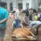 IWB Perkuat Kepedulian dan Solidaritas Idul Adha 1447 H