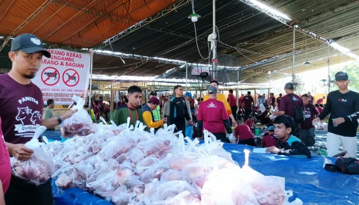 Ponpes Al-Ishlah Bondowoso Potong Hewan Qurban Hampir 1000 Ekor