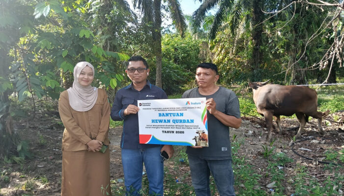 Sambut Idul Adha 1447 H, INALUM Salurkan 107 Hewan Kurban di Sumatera Utara