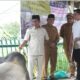 Bupati Murung Raya Serahkan Bantuan Sapi Kurban, Satu Ekor Bantuan Dari Presiden RI