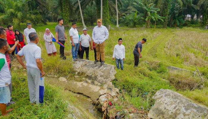 Bupati Batu Bara Tinjau Irigasi di Desa Sei Muka, Siapkan Langkah Konkret Dukung Produktivitas 200 Hektare Lahan Pertanian