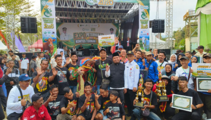 Exponak 2026 Mengguncang Bondowoso, Peternak Lokal Pamerkan Ternak Kelas Champion