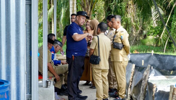 Hadiri Panen Raya di Gambus Laut, Bupati Batu Bara Dukung Pengembangan Budidaya Udang Vaname