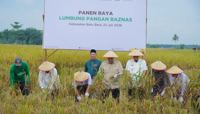 Bupati Batu Bara Dorong Ketahanan Pangan, Panen Raya Lumbung Pangan Baznas jadi Bukti Sinergi Pemerintah dan Petani