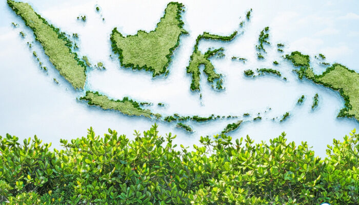 INALUM Perkuat Pelestarian Pesisir, Tanam 15.000 Bibit Mangrove Demi Masa Depan Berkelanjutan