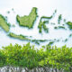 INALUM Perkuat Pelestarian Pesisir, Tanam 15.000 Bibit Mangrove Demi Masa Depan Berkelanjutan