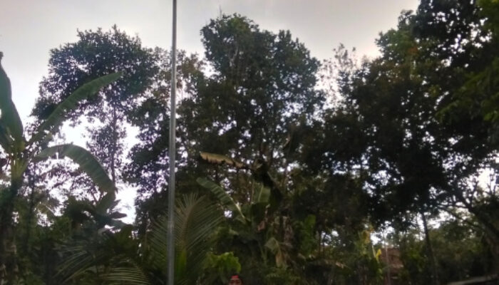 Rp72 Juta Hanya untuk Lima PJU di Pocangan, Seistimewa Apa Penerangannya?