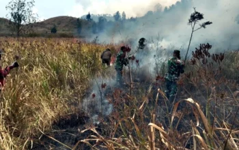 Api Berkobar di Ijen! TNI dan Perhutani Gerak Cepat Jinakkan Kebakaran di Petak 87