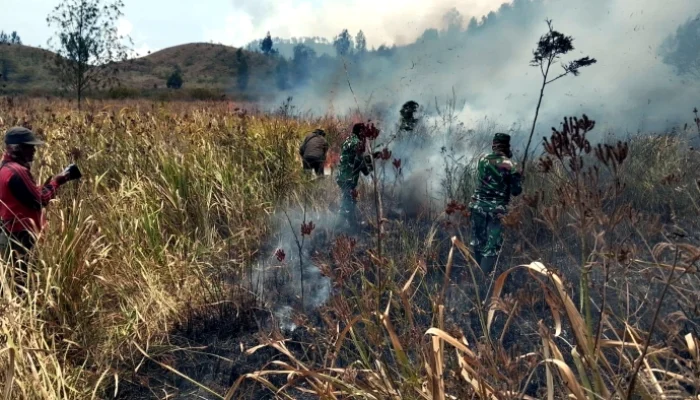Api Berkobar di Ijen! TNI dan Perhutani Gerak Cepat Jinakkan Kebakaran di Petak 87