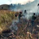 Api Berkobar di Ijen! TNI dan Perhutani Gerak Cepat Jinakkan Kebakaran di Petak 87