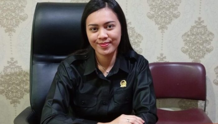 Kabut Asap Karhutla Ancam Kesehatan, DPRD Murung Raya Dorong Kesiapan Layanan Medis hingga Desa