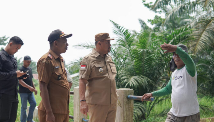 Tinjau Irigasi dan Jalan Desa, Bupati Baharuddin Pastikan Kebutuhan Masyarakat Jadi Perhatian